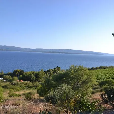 Vineyard House Murvica Bol